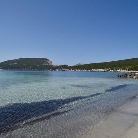 Villa Margherita Alghero Eksteriør billede