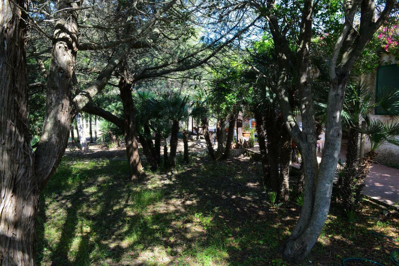 Villa Margherita Alghero Eksteriør billede